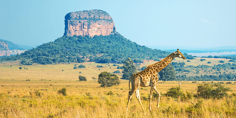Johannesburg